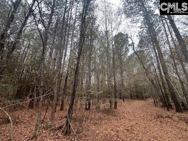 1128 Tookie Doo Avenue Photo 6