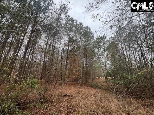 1128 Tookie Doo Avenue Photo 7