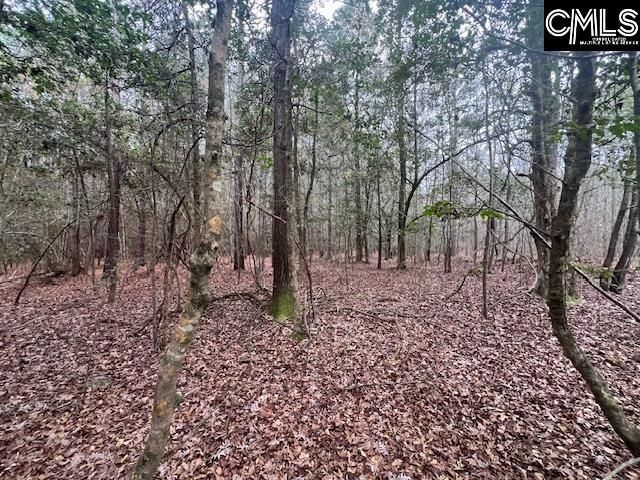 1128 Tookie Doo Avenue Photo 8