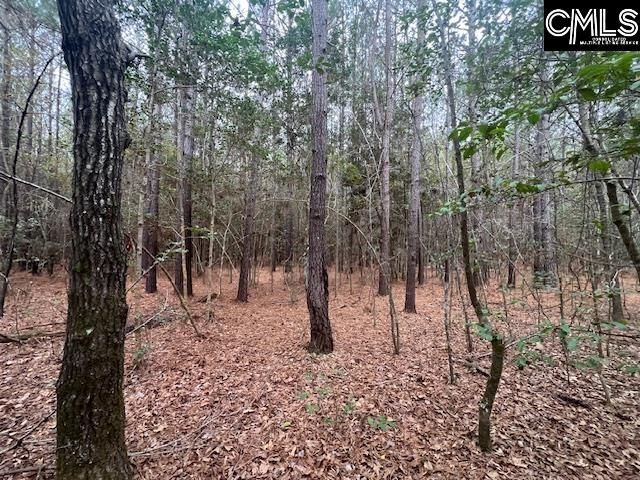 1128 Tookie Doo Avenue Photo 9