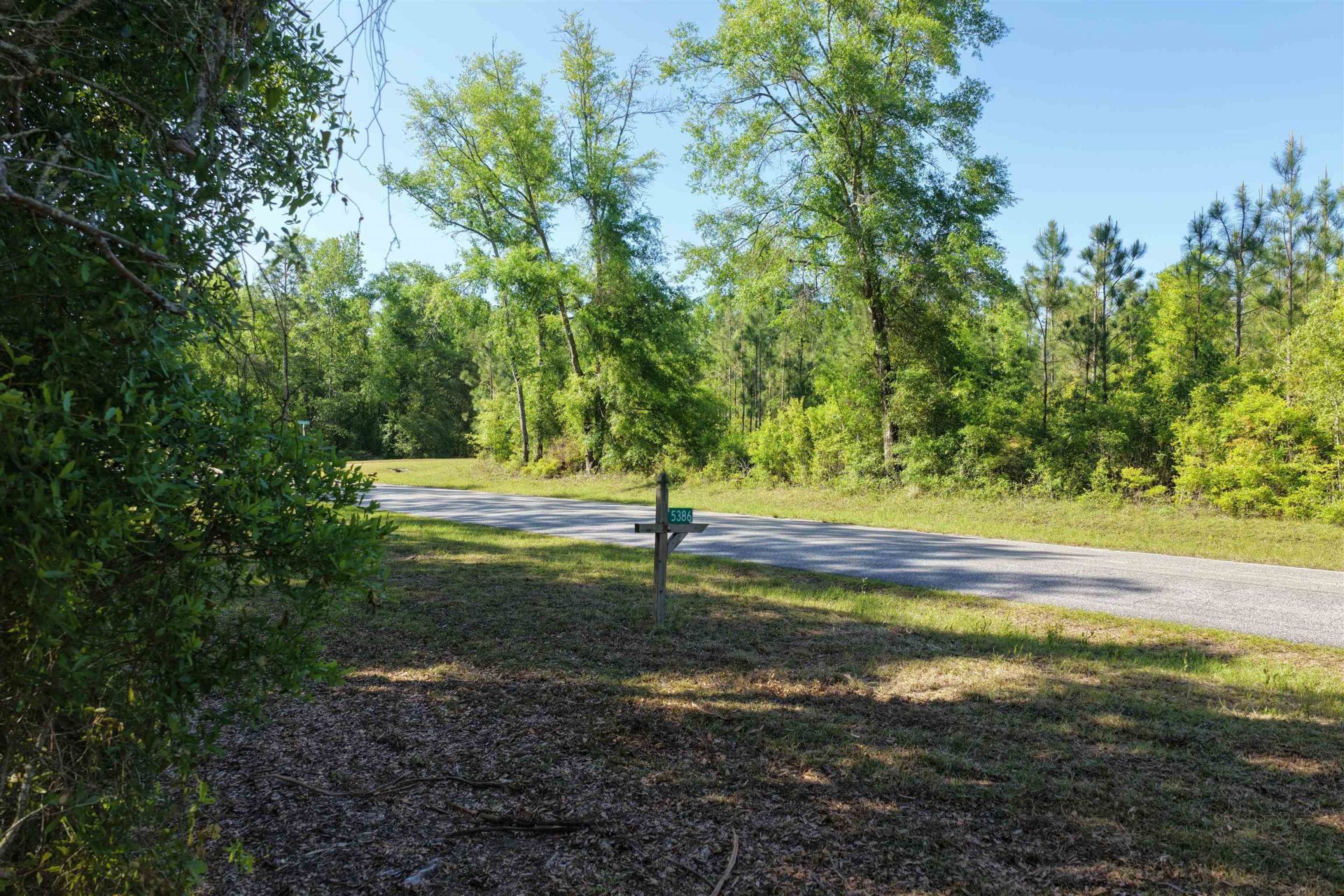 5386 NE Old Blue Springs Road, Lee, FL 32059 Photo