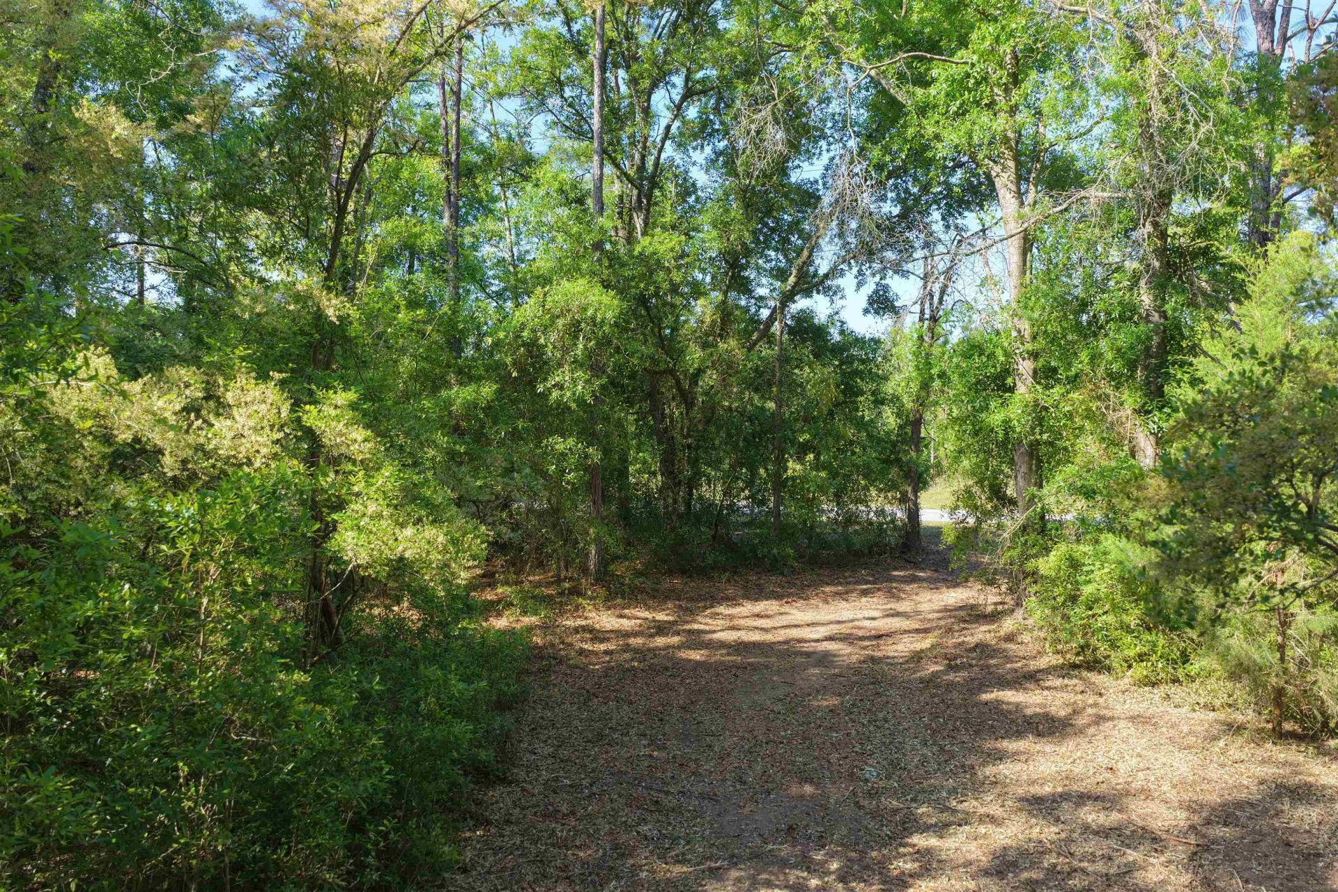 5386 NE Old Blue Springs Road, Lee, FL 32059 Photo