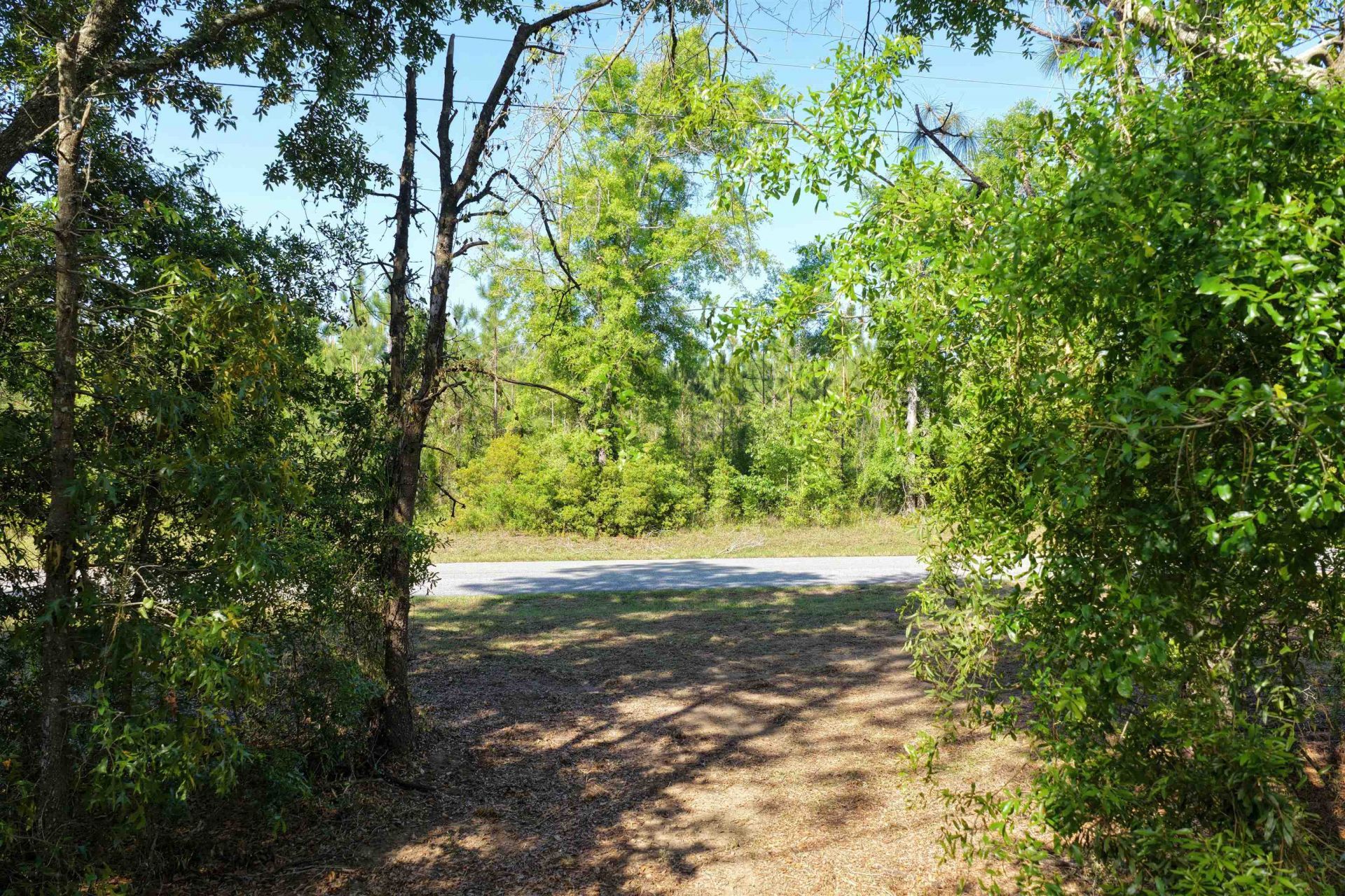 5386 NE Old Blue Springs Road, Lee, FL 32059 Photo