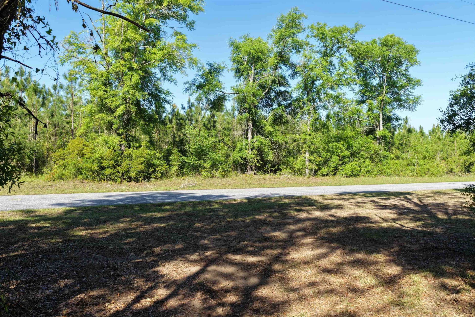 5386 NE Old Blue Springs Road, Lee, FL 32059 Photo