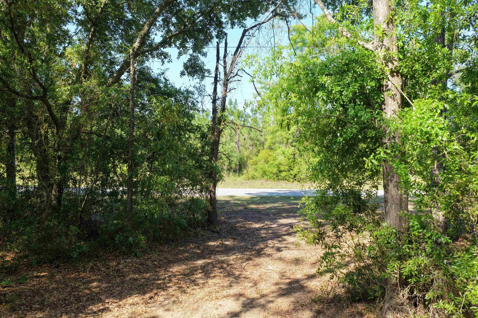 5386 NE Old Blue Springs Road, Lee, FL 32059 Photo
