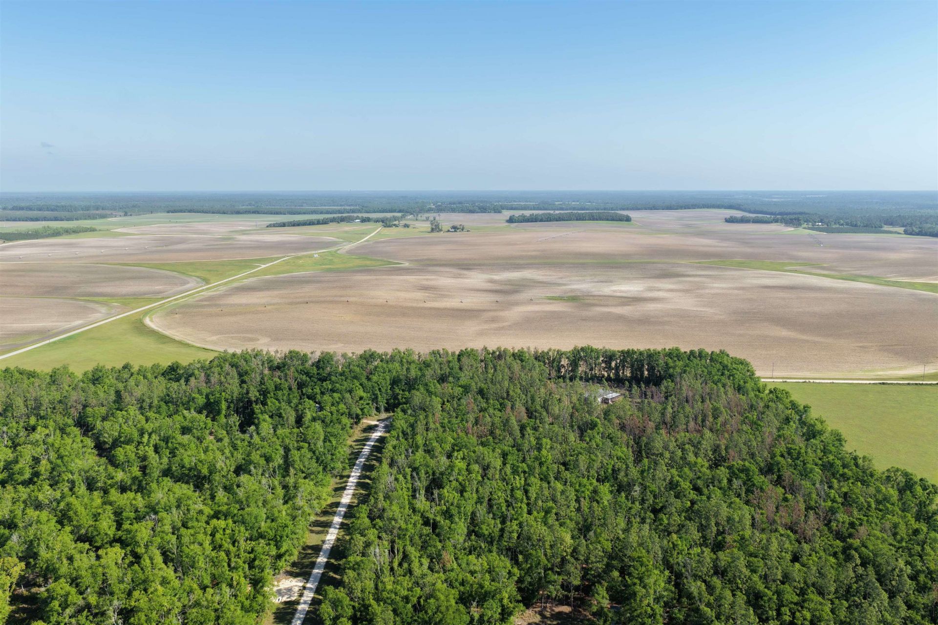 5386 NE Old Blue Springs Road, Lee, FL 32059 Photo