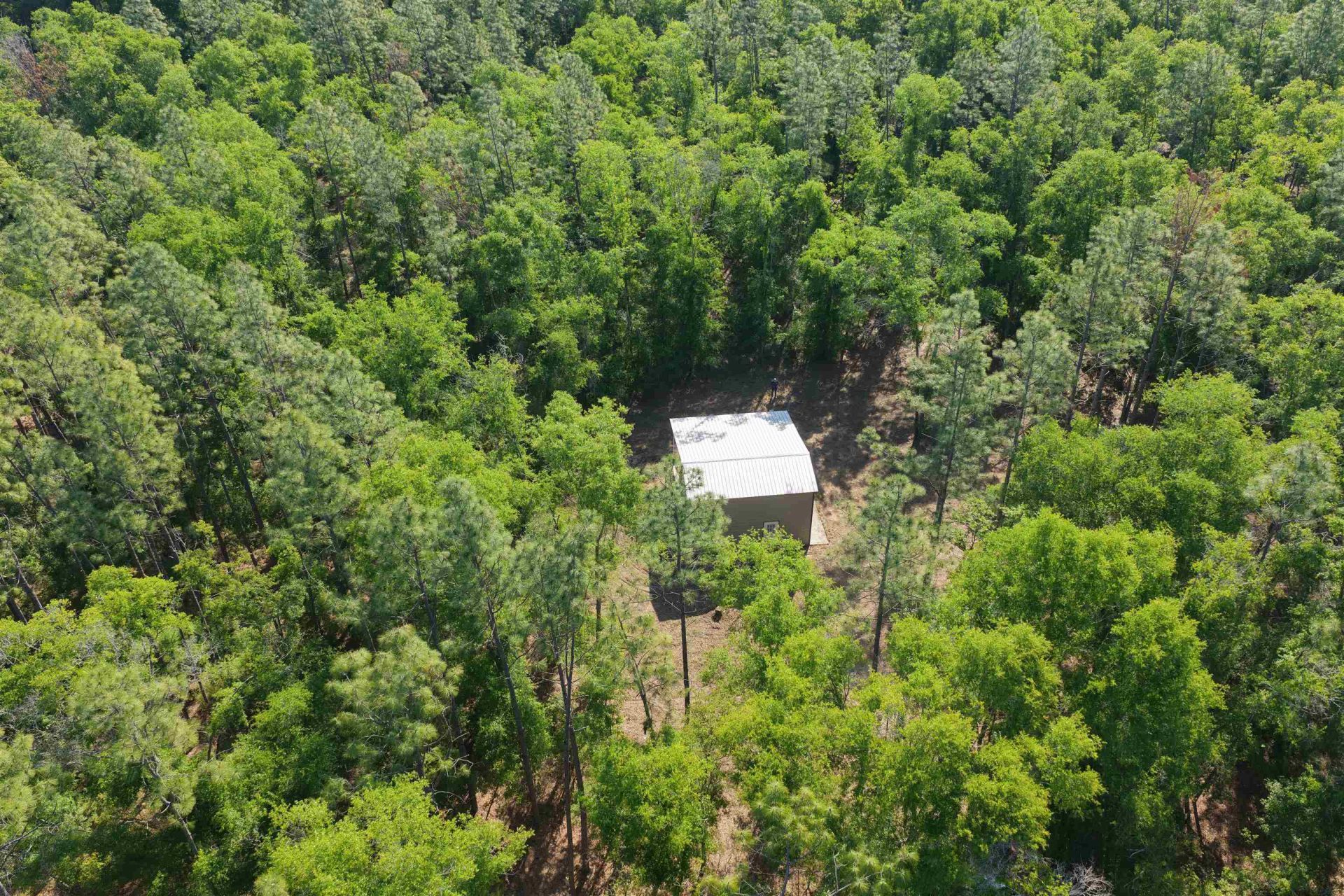 5386 NE Old Blue Springs Road, Lee, FL 32059 Photo