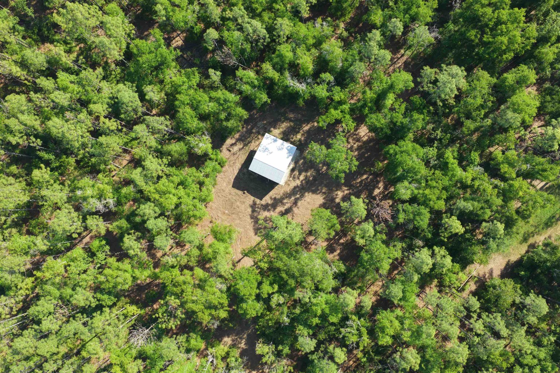 5386 NE Old Blue Springs Road, Lee, FL 32059 Photo