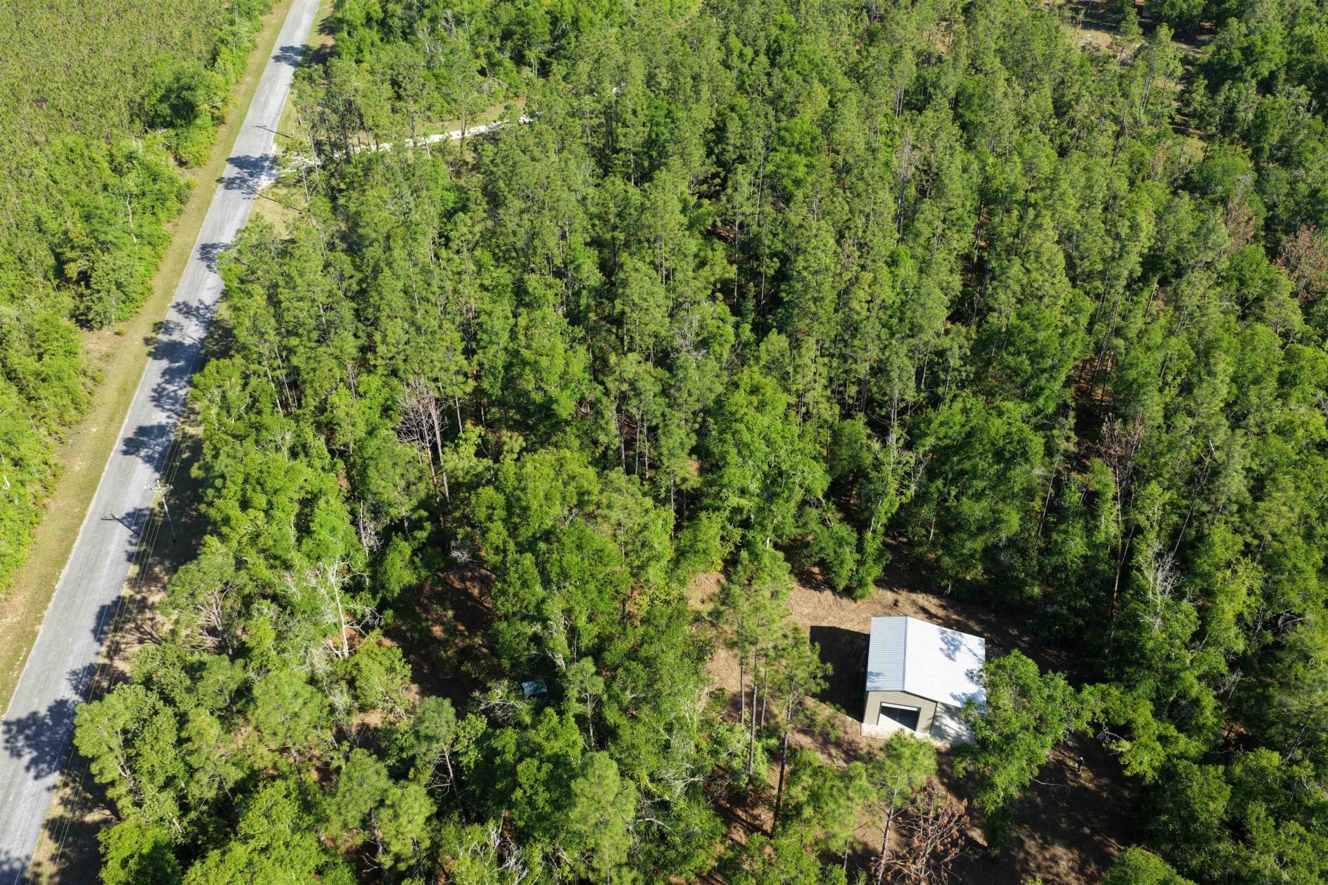 5386 NE Old Blue Springs Road, Lee, FL 32059 Photo