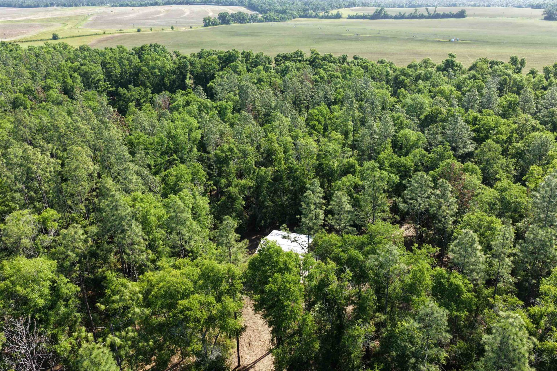 5386 NE Old Blue Springs Road, Lee, FL 32059 Photo