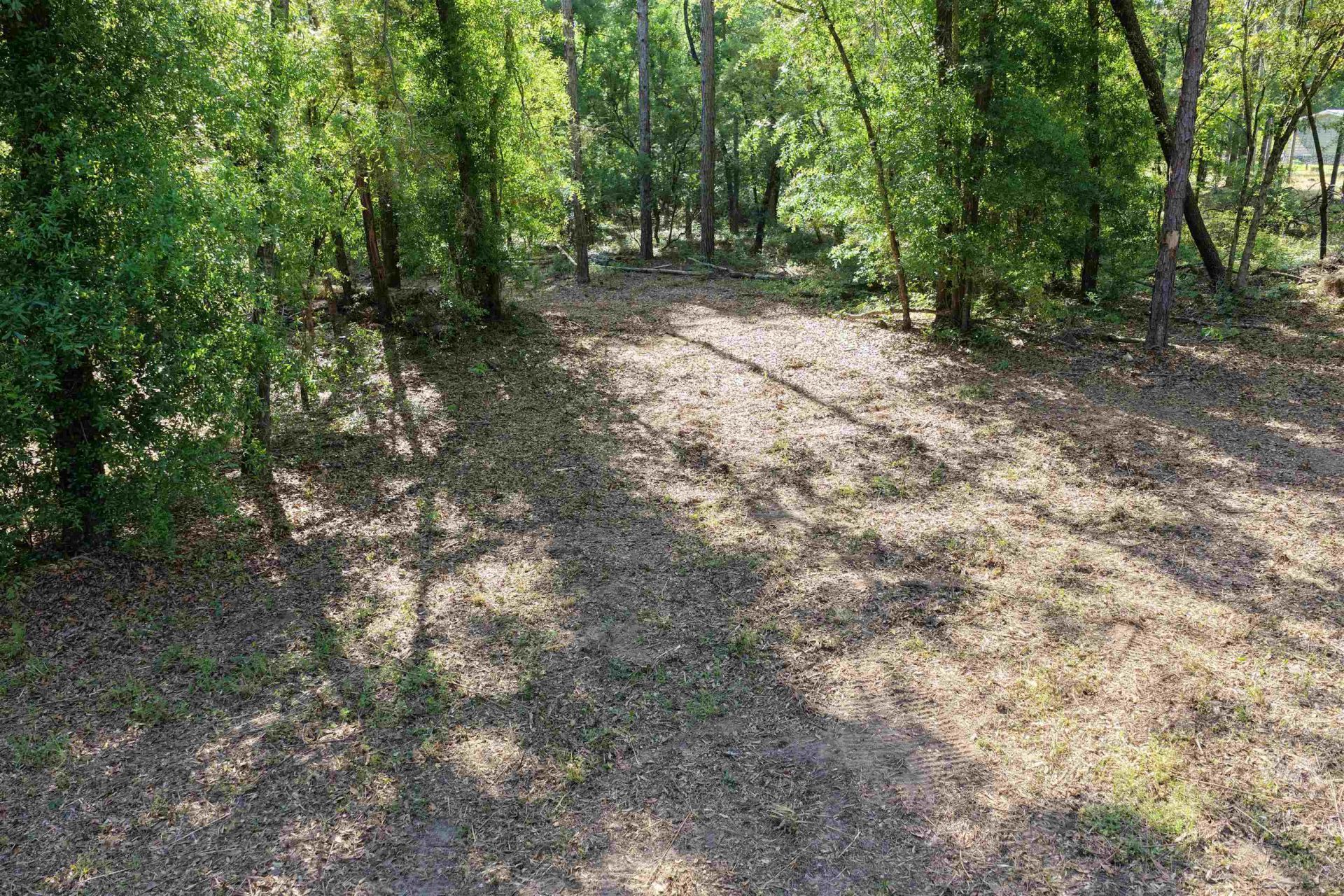 5386 NE Old Blue Springs Road, Lee, FL 32059 Photo