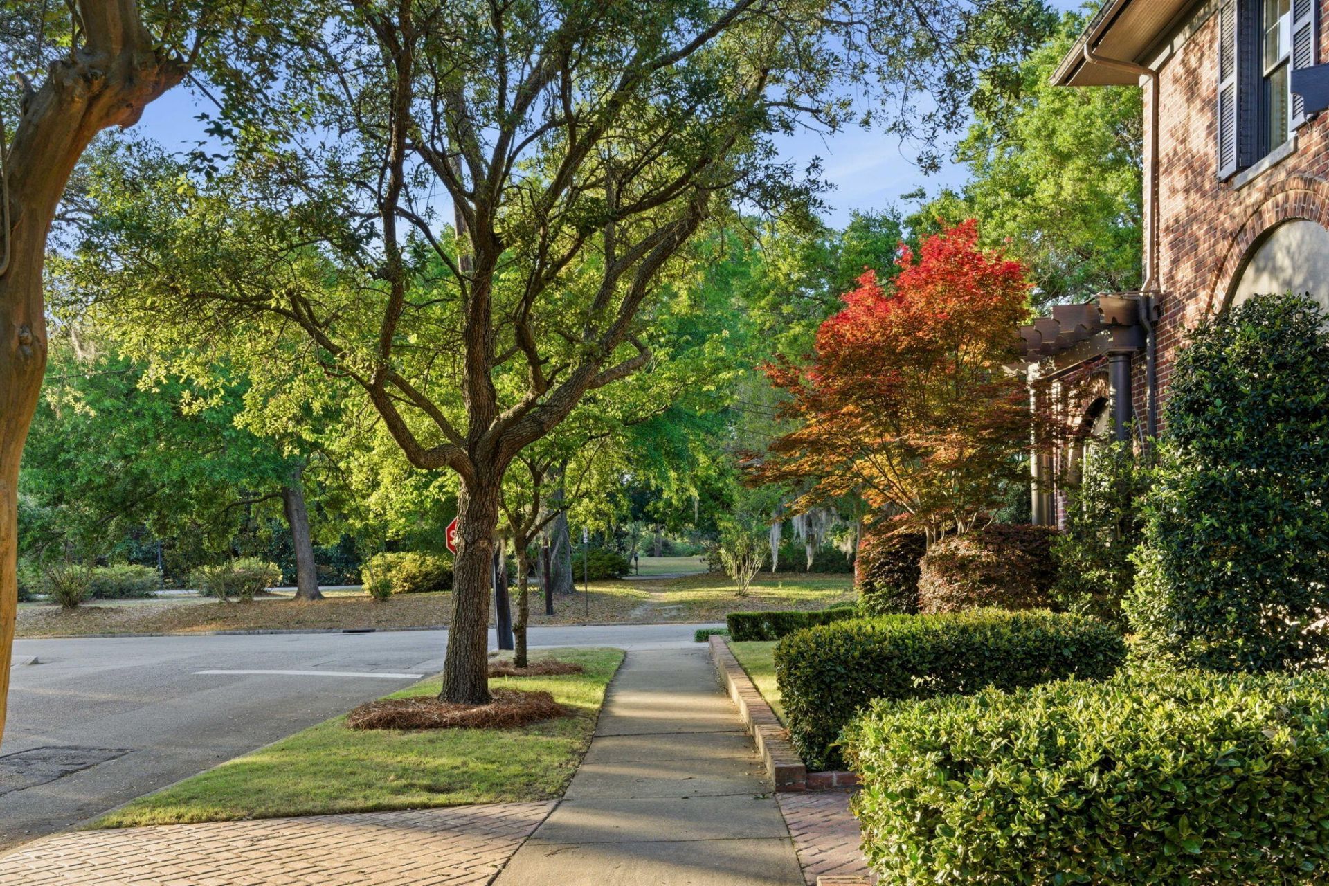 56 Parkwood Avenue Photo 41