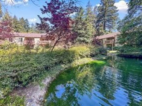 505 Cypress Point Drive, Unit 263, Mountain View, CA 94043