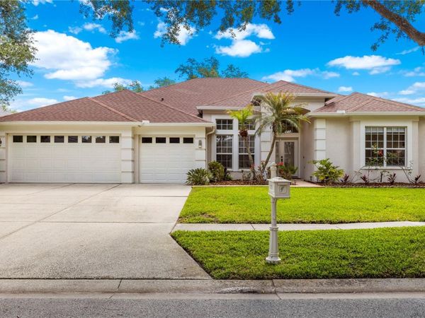 10254 SHADOW BRANCH DRIVE, TAMPA, FL 33647