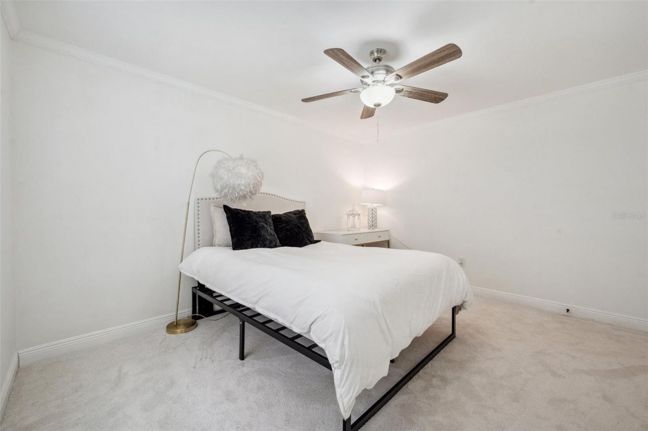 4019 W Bay To Bay Boulevard, Tampa, FL 33629 Photo