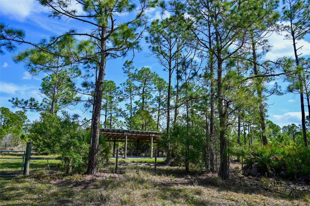 47200 Bermont Road, Punta Gorda, FL 33982 Photo