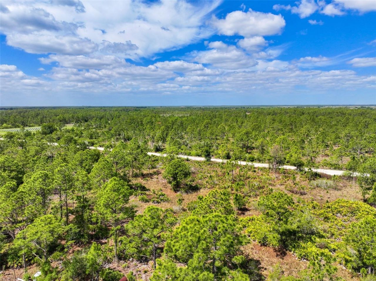 47200 Bermont Road, Punta Gorda, FL 33982 Photo