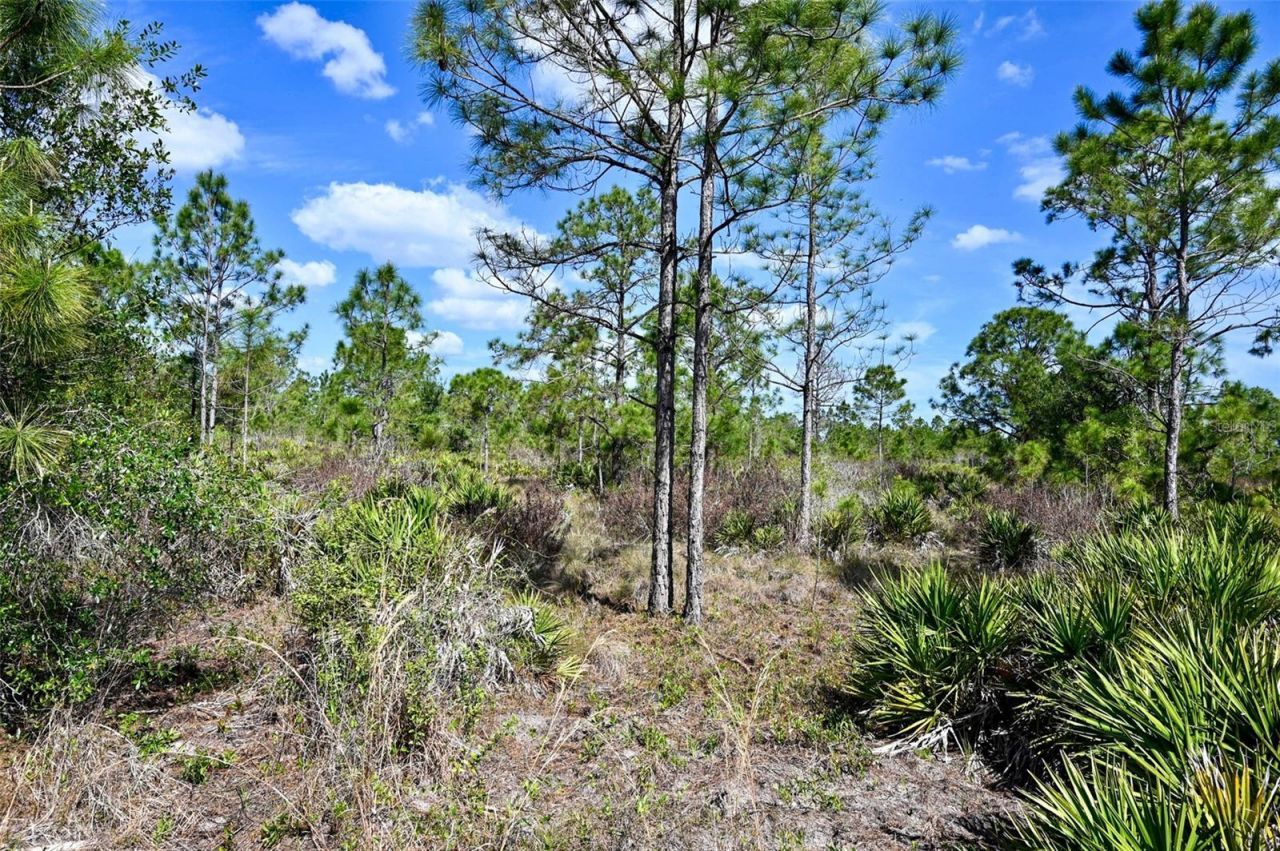 47200 Bermont Road, Punta Gorda, FL 33982 Photo