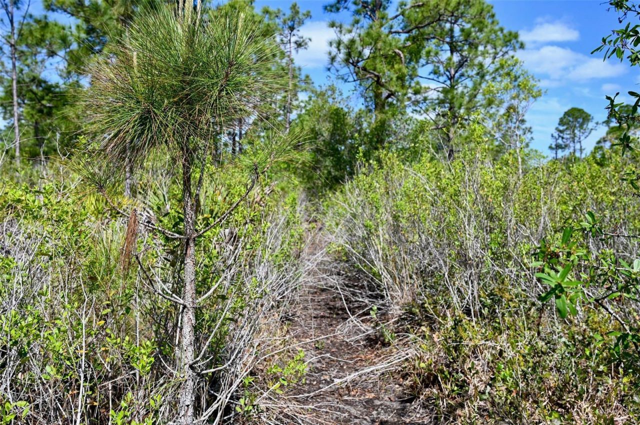 47200 Bermont Road, Punta Gorda, FL 33982 Photo