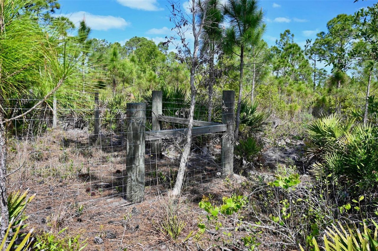 47200 Bermont Road, Punta Gorda, FL 33982 Photo