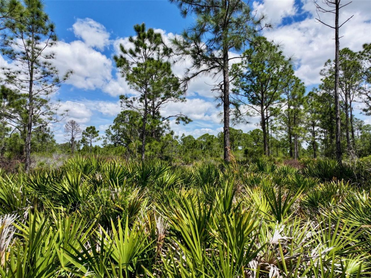 47200 Bermont Road, Punta Gorda, FL 33982 Photo