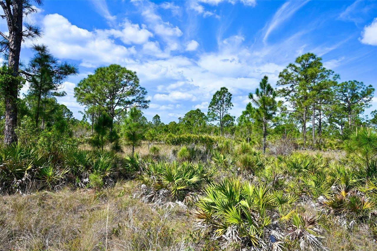 47200 Bermont Road, Punta Gorda, FL 33982 Photo