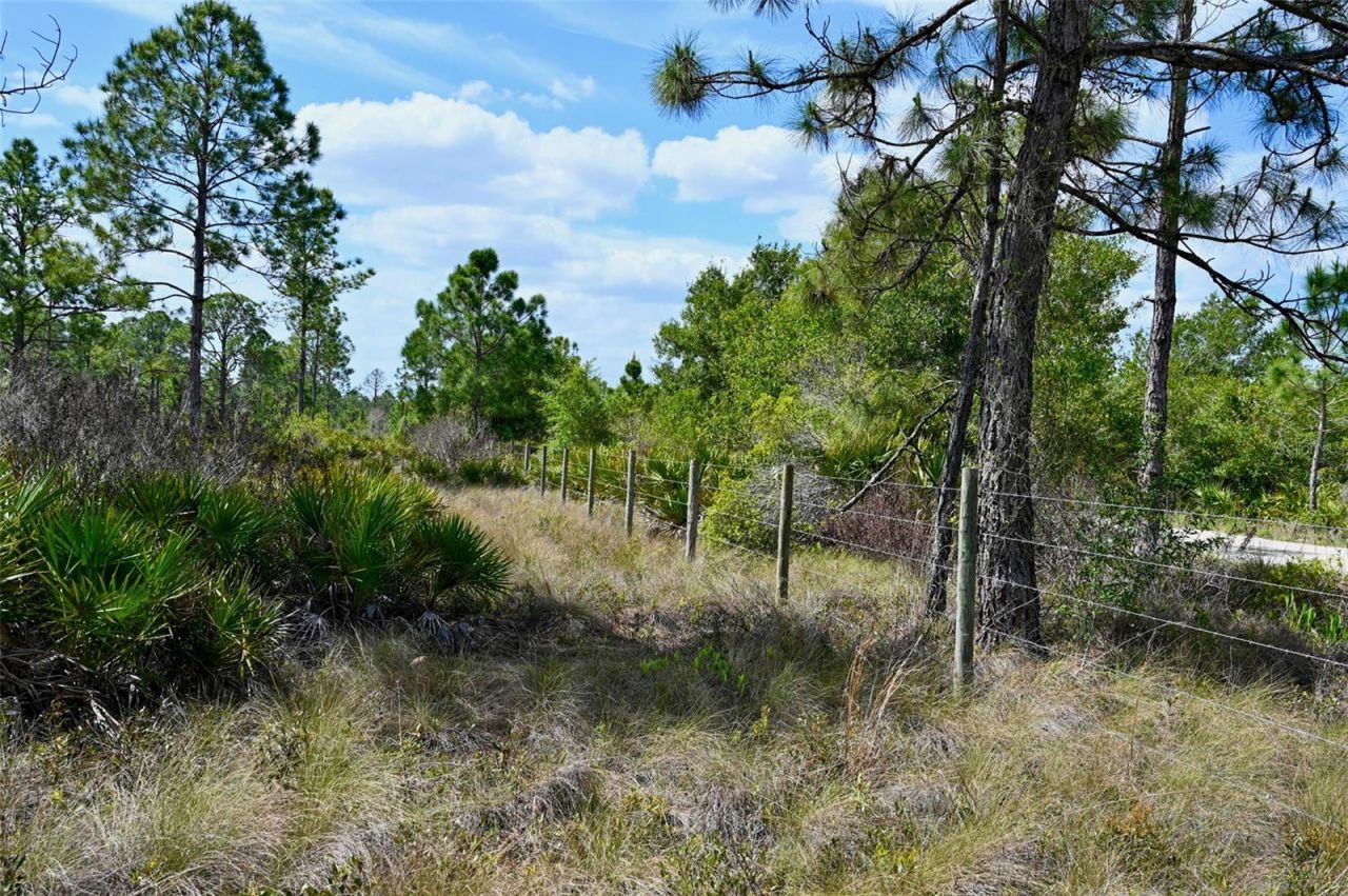 47200 Bermont Road, Punta Gorda, FL 33982 Photo