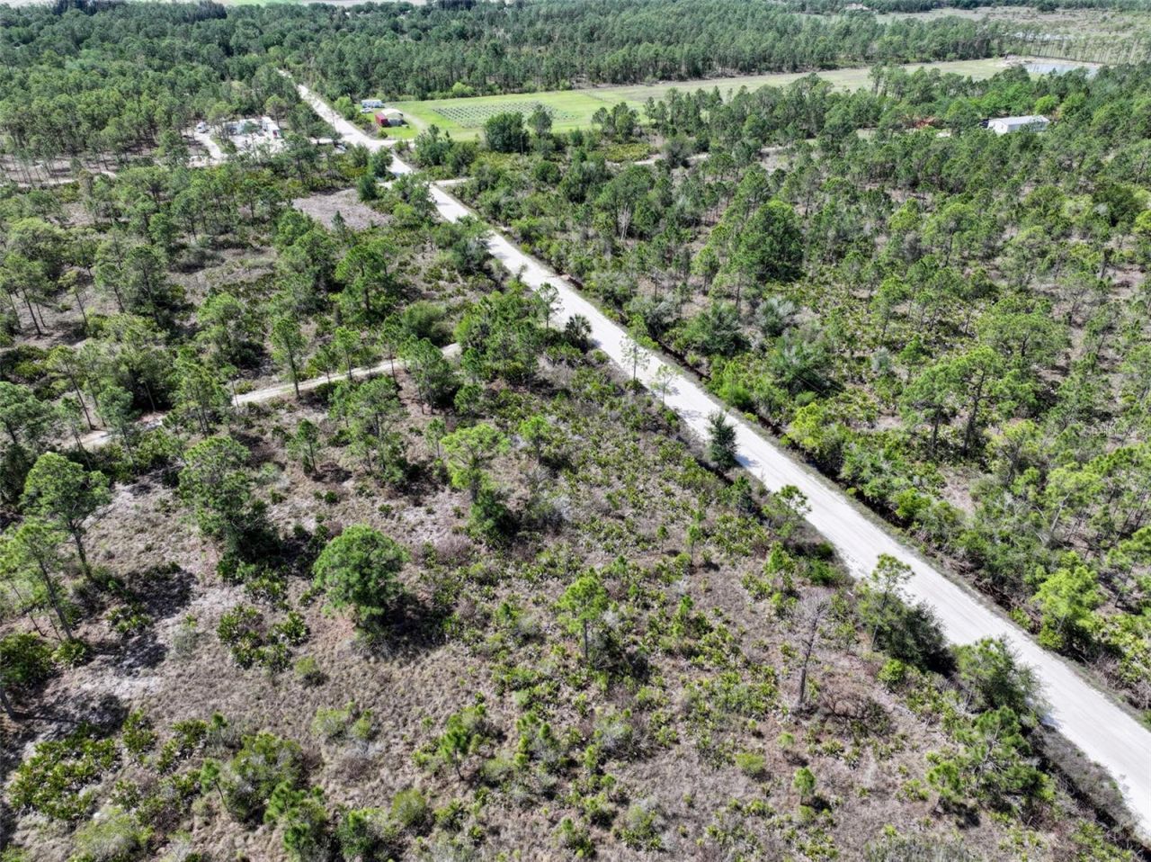 47200 Bermont Road, Punta Gorda, FL 33982 Photo