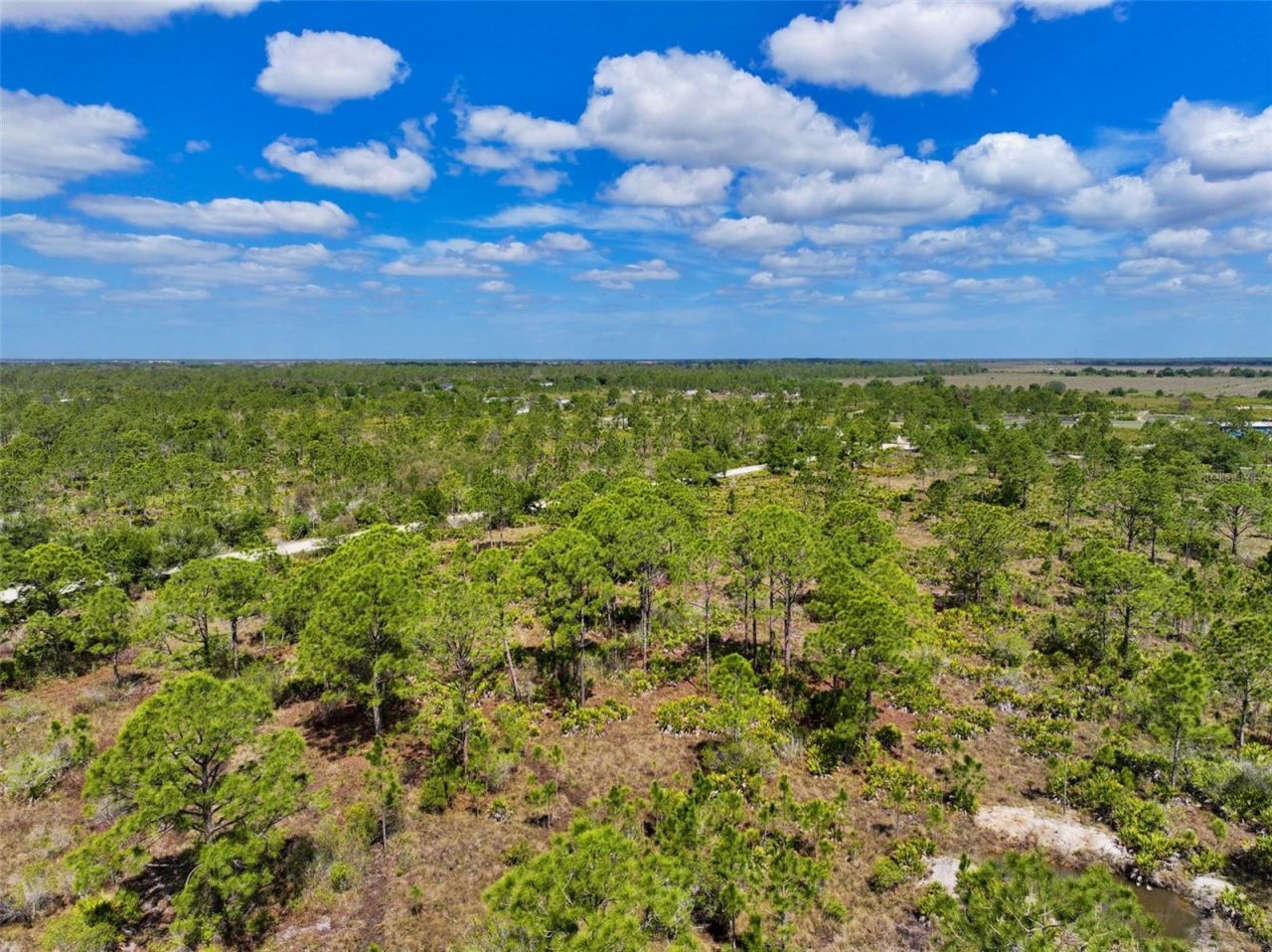 47200 Bermont Road, Punta Gorda, FL 33982 Photo