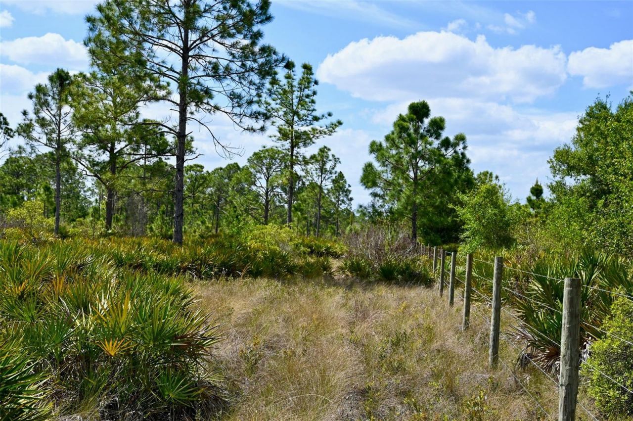 47200 Bermont Road, Punta Gorda, FL 33982 Photo