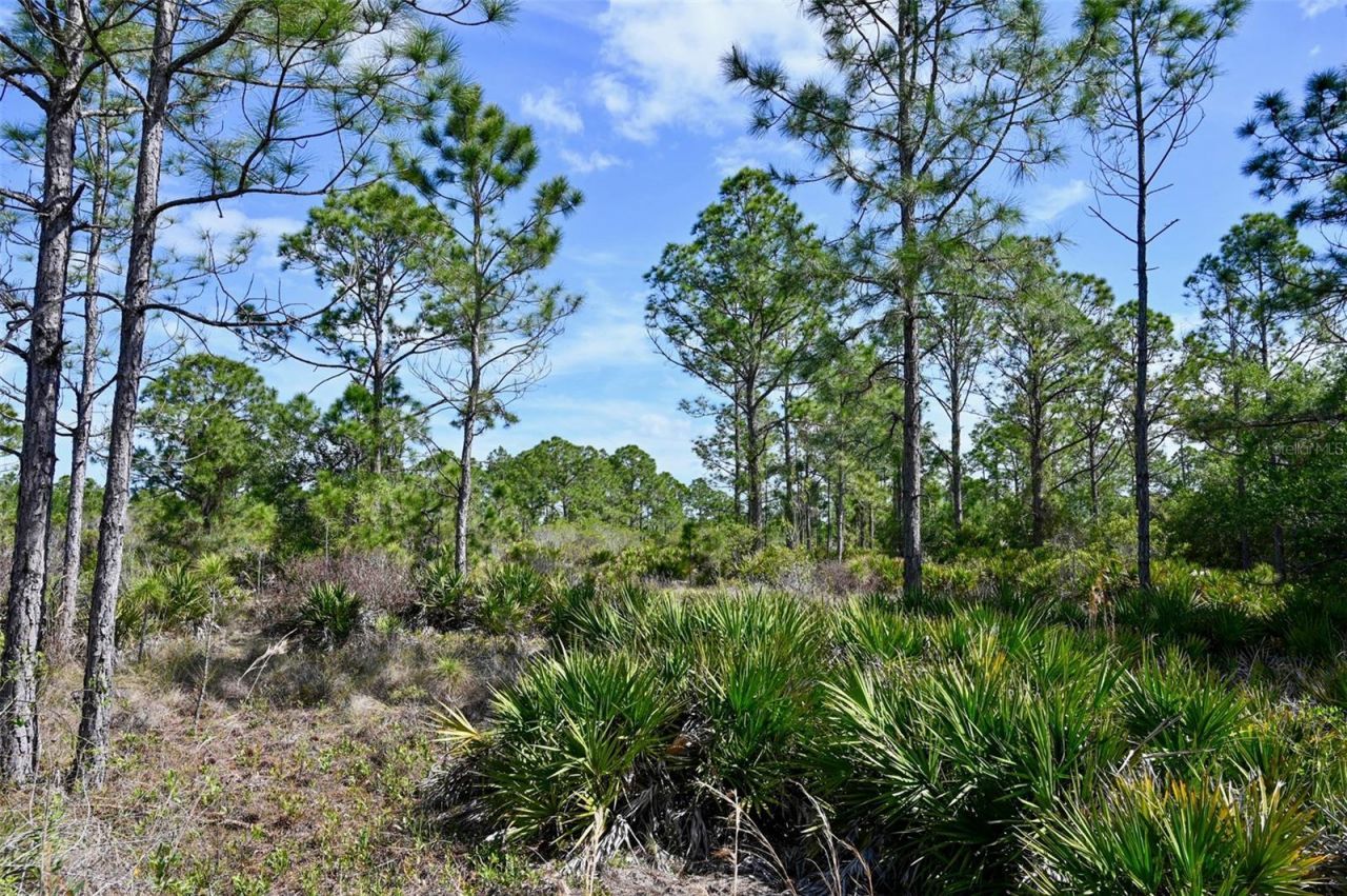 47200 Bermont Road, Punta Gorda, FL 33982 Photo