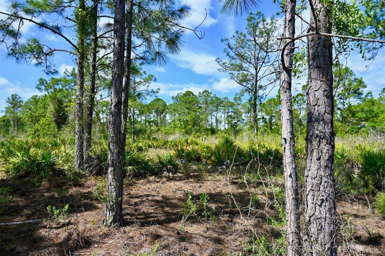 47200 Bermont Road, Punta Gorda, FL 33982 Photo