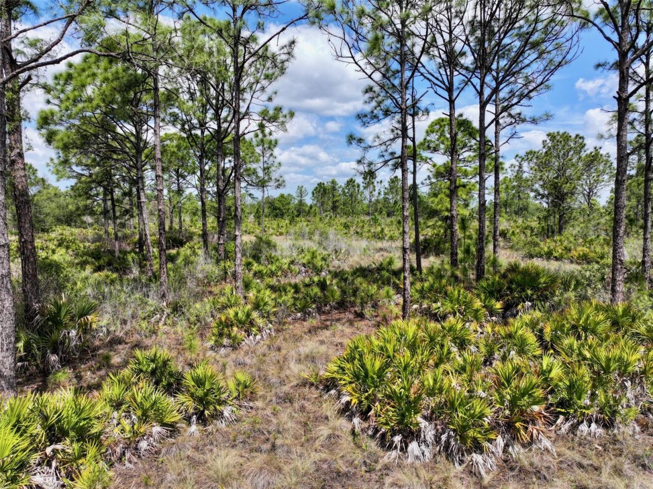 47200 Bermont Road, Punta Gorda, FL 33982 Photo