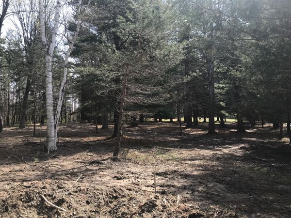 7087 Creekwood Drive, South Haven, MI 49090