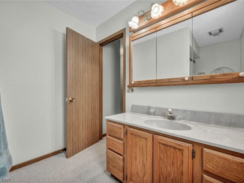 9217 Bechtel Road, Elyria, OH 44035 Photo 35