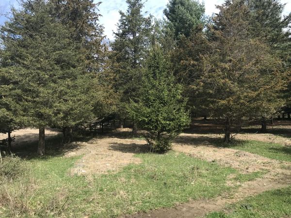 Lot 2 Creekwood Drive, South Haven, MI 49090