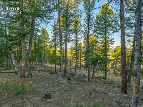 88 Malmsey Lane, Divide, CO 80814