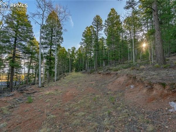 88 Malmsey Lane, Divide, CO 80814