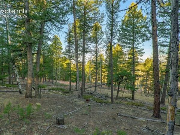 88 Malmsey Lane, Divide, CO 80814