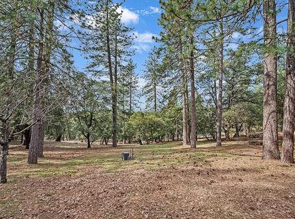 11151 Quail Dr, Pine Grove, CA 95665 Photo