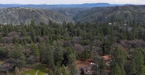 11151 Quail Dr, Pine Grove, CA 95665 Photo