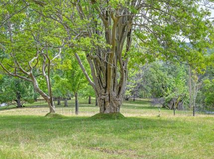 8495 Chili Hill Rd, Newcastle, CA 95658 Photo