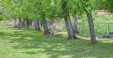 8495 Chili Hill Rd, Newcastle, CA 95658 Photo