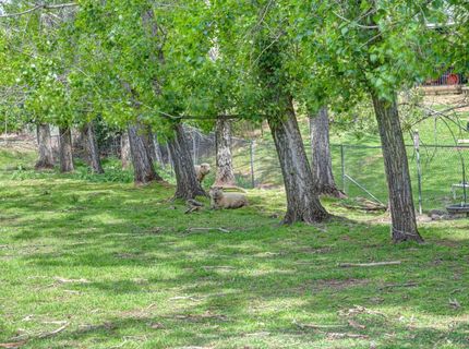 8495 Chili Hill Rd, Newcastle, CA 95658 Photo