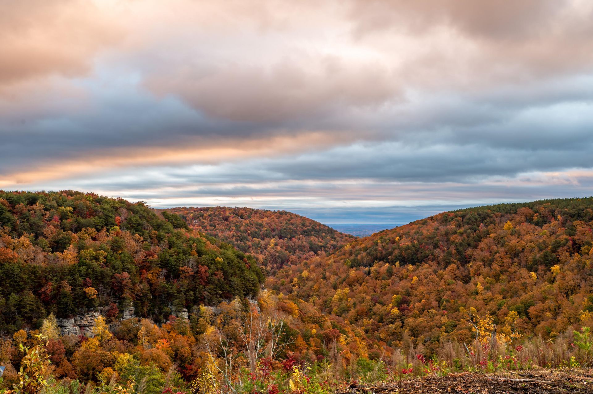 2364 Three Gorges Road, Soddy Daisy, TN 37379 Main Photo