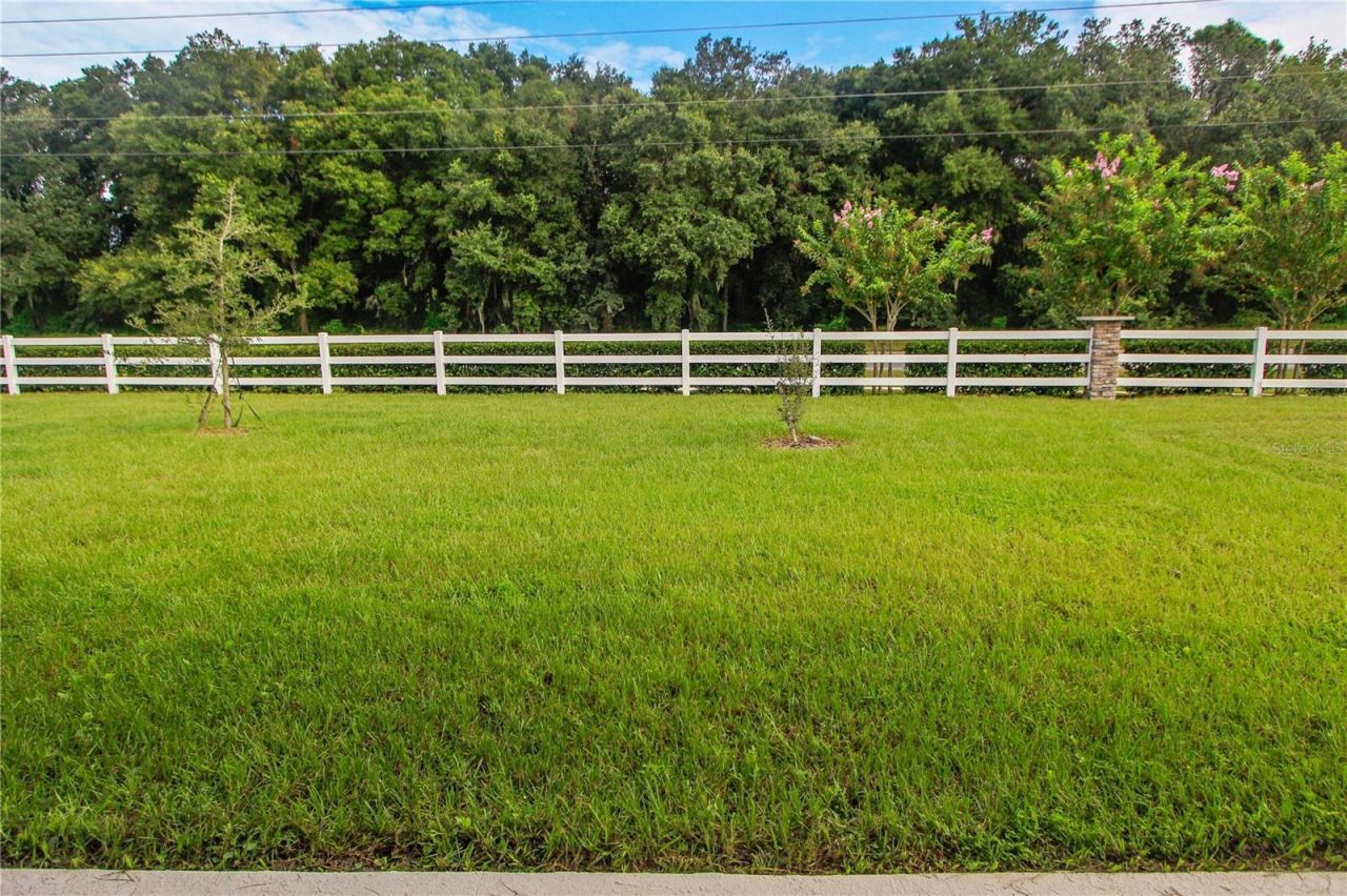 5208 Meadow Song Drive, Okahumpka, FL 34762 Photo