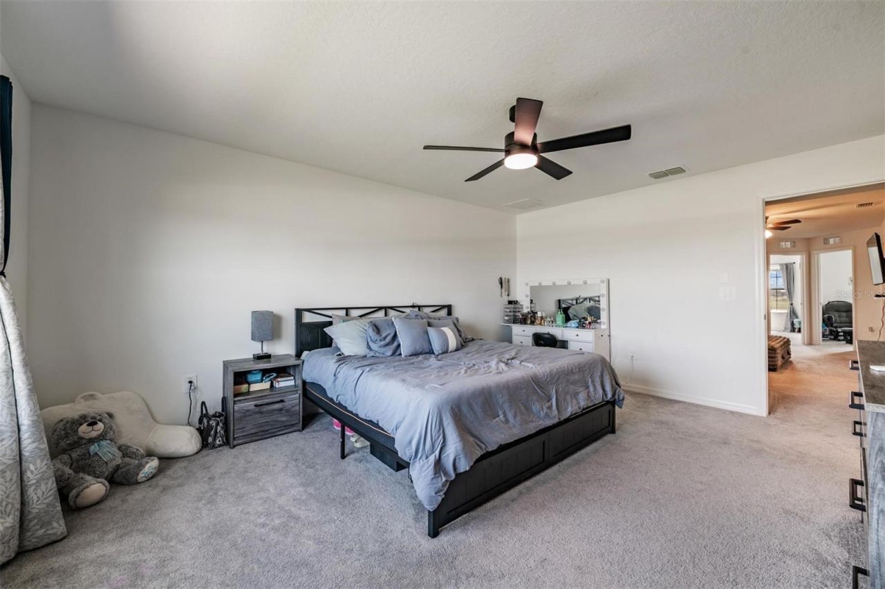 9133 Bonita Mar Drive, Parrish, FL 34219 Photo
