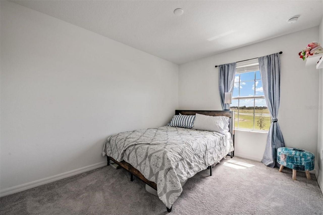 9133 Bonita Mar Drive, Parrish, FL 34219 Photo