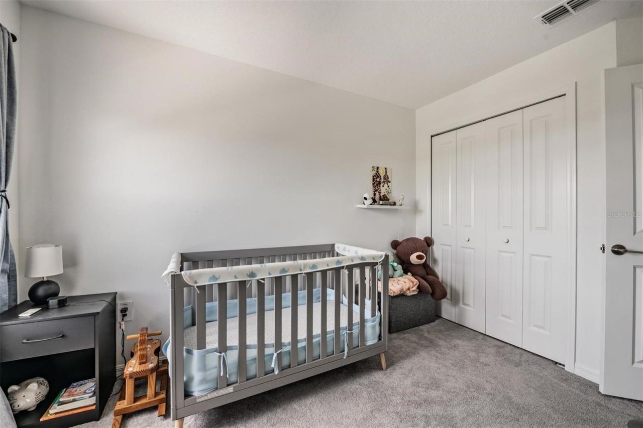 9133 Bonita Mar Drive, Parrish, FL 34219 Photo