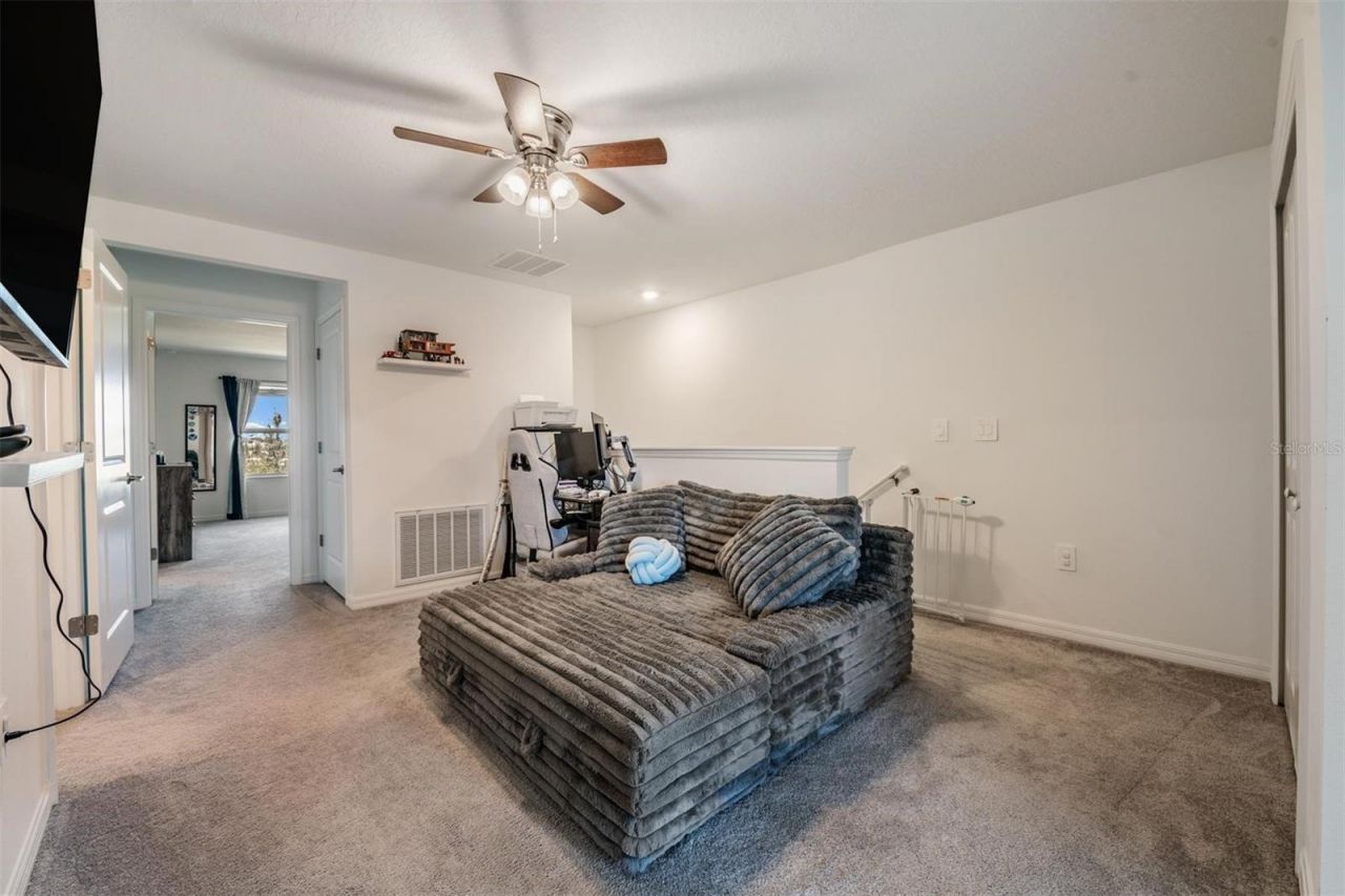 9133 Bonita Mar Drive, Parrish, FL 34219 Photo